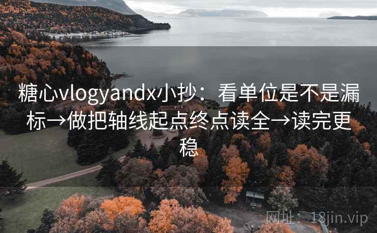 糖心vlogyandx小抄:看单位是不是漏标→做把轴线起点终点读全→读完更稳